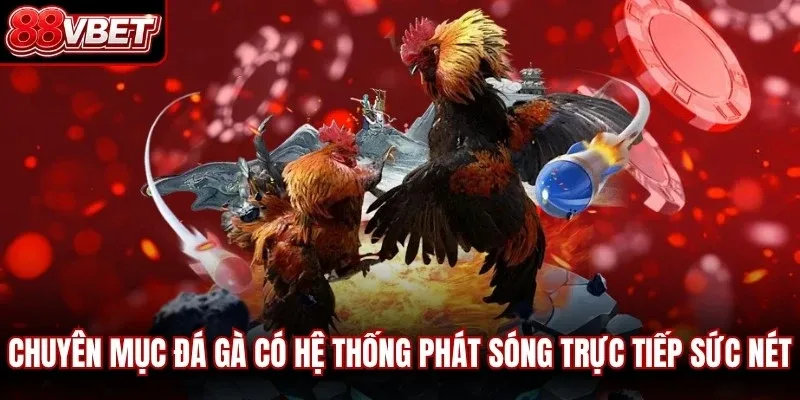 Chuyên mục đá gà trực tuyến có hệ thống phát sóng trực tiếp sức nét