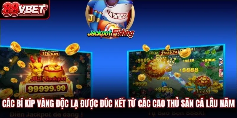 Các bí kíp vàng độc lạ được đúc kết từ các cao thủ săn cá lâu năm