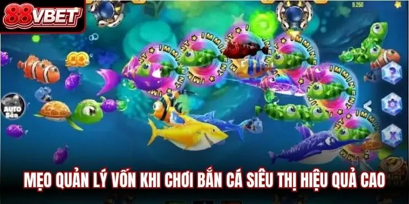 Mẹo quản lý vốn khi chơi bắn cá siêu thị hiệu quả cao